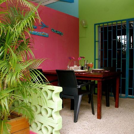 וילמסטאד Caribbean Flower Apartments מראה חיצוני תמונה