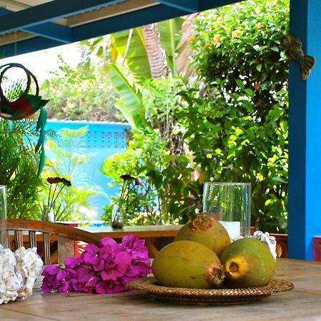 וילמסטאד Caribbean Flower Apartments מראה חיצוני תמונה