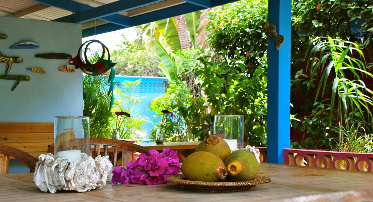 וילמסטאד Caribbean Flower Apartments מראה חיצוני תמונה