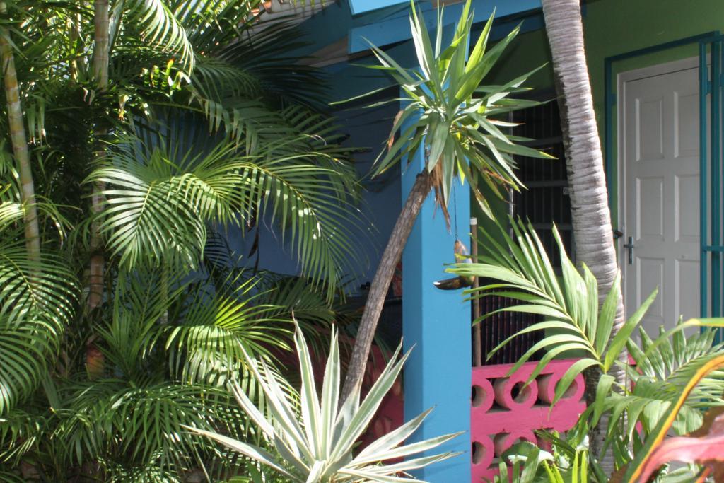 וילמסטאד Caribbean Flower Apartments מראה חיצוני תמונה