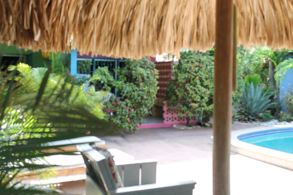 וילמסטאד Caribbean Flower Apartments מראה חיצוני תמונה