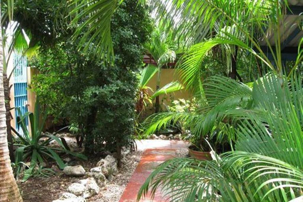 וילמסטאד Caribbean Flower Apartments מראה חיצוני תמונה
