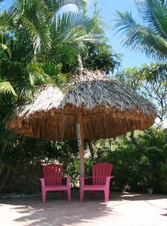 וילמסטאד Caribbean Flower Apartments מראה חיצוני תמונה