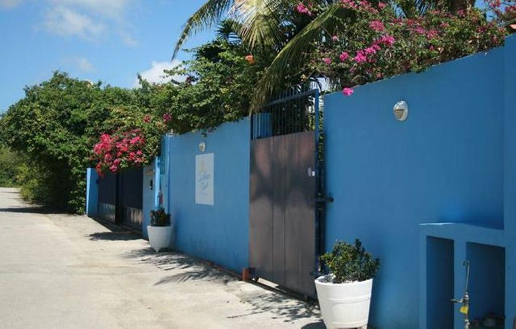 וילמסטאד Caribbean Flower Apartments מראה חיצוני תמונה