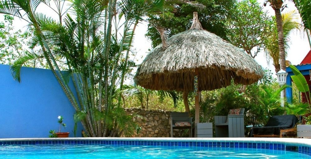 וילמסטאד Caribbean Flower Apartments מראה חיצוני תמונה